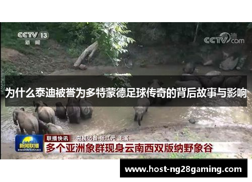 为什么泰迪被誉为多特蒙德足球传奇的背后故事与影响