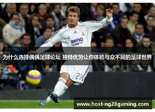/news/331.html