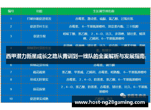 西甲潜力新星成长之路从青训到一线队的全面解析与发展指南