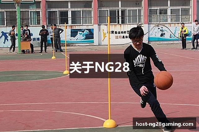 关于NG28